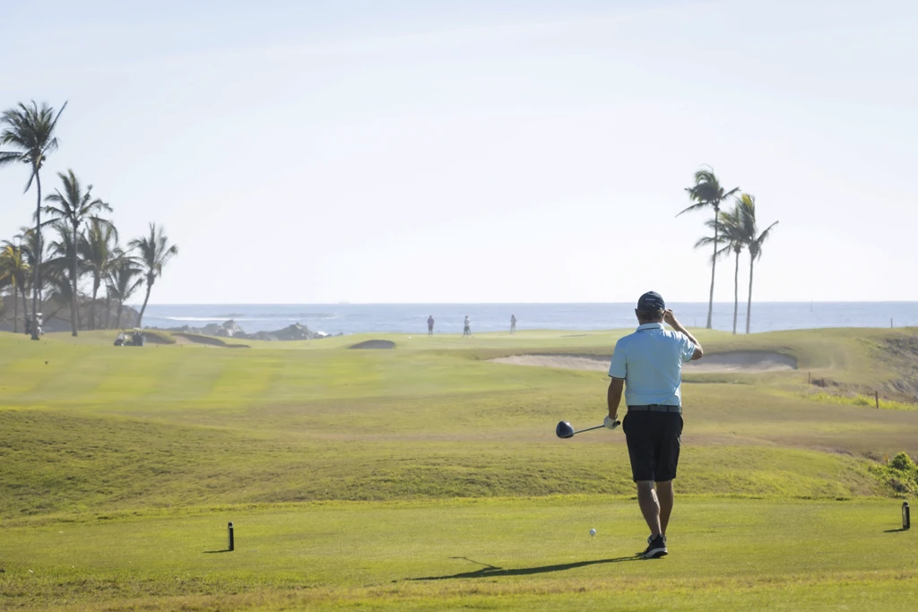 Artificial Intelligence Program